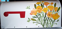California Poppies Mailbox